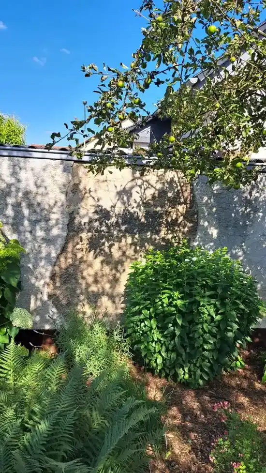 Gerüst aufgebaut – Fassadensanierung Butzbach, Systemgerüst rund ums Haus