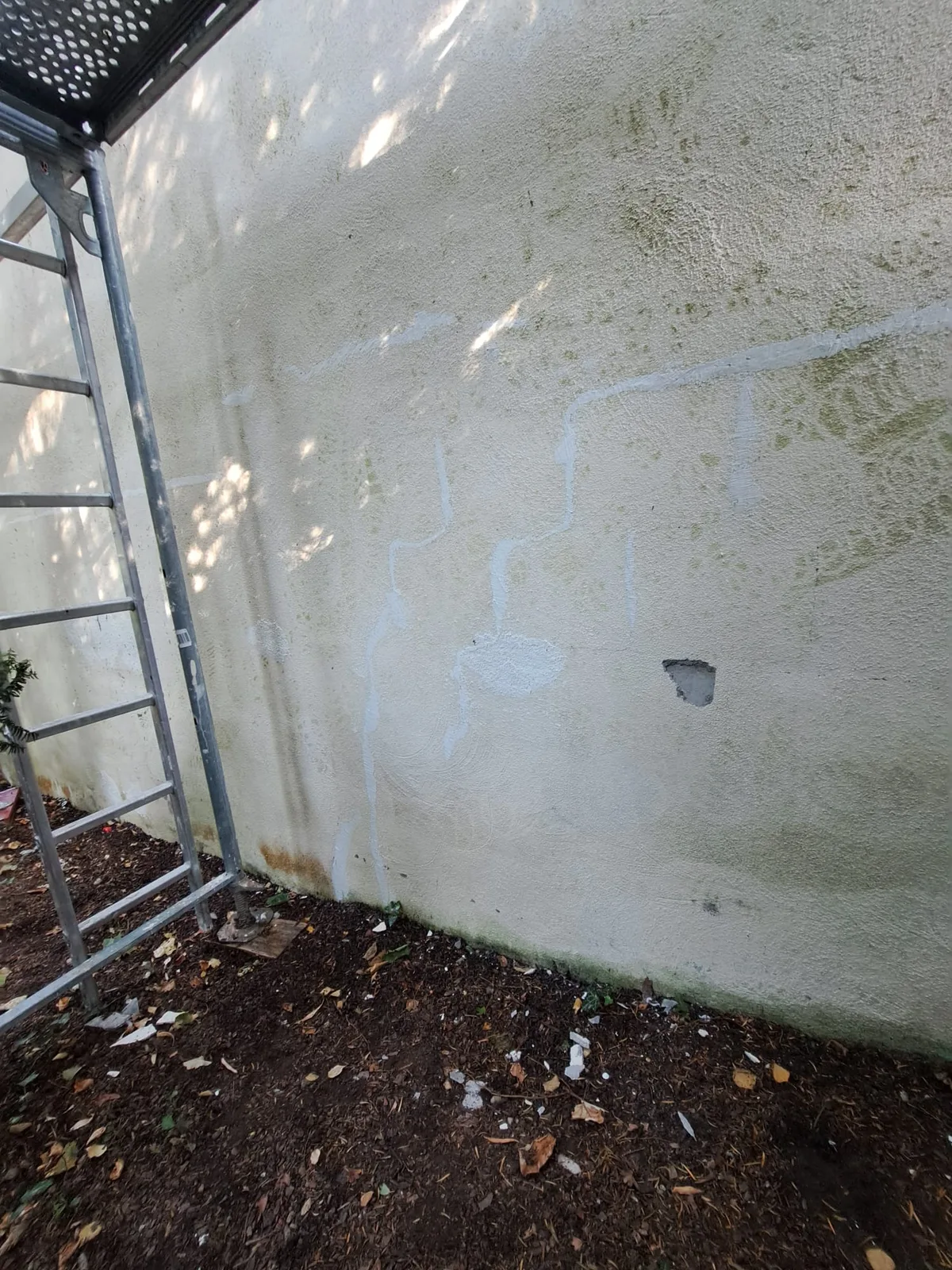 Grünbelag auf der Gartenmauer vor der Reinigung