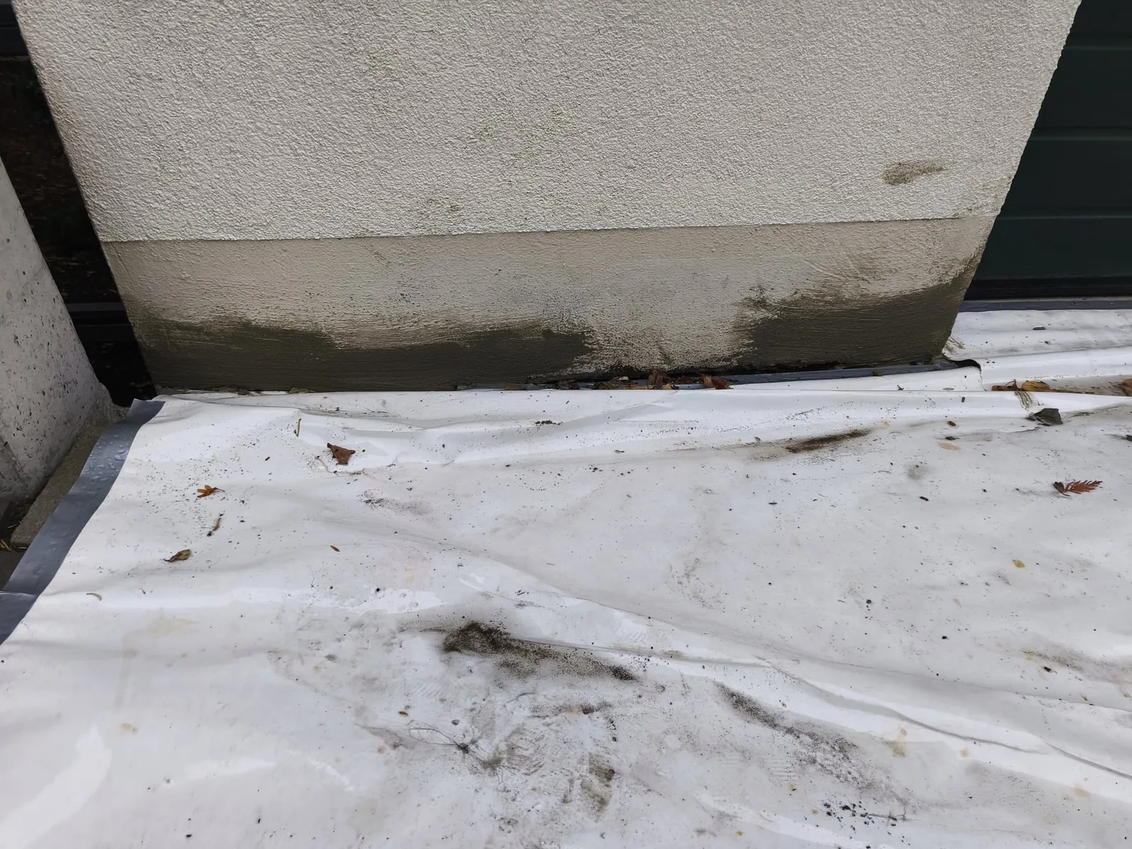 Grünbelag und Schmutz am Fassadensockel vor der Reinigung in Kronberg