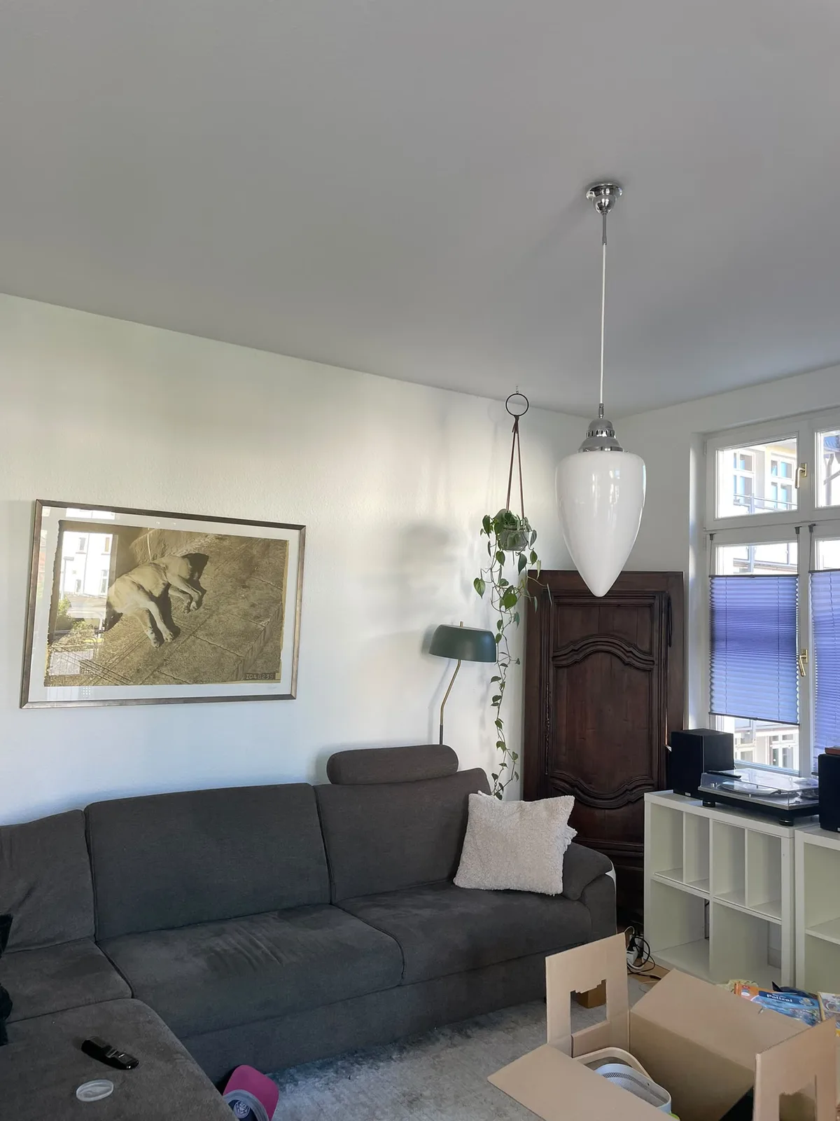 Wohnzimmer einer Altbauwohnung in Marburg vor der Renovierung mit grauem Sofa und Umzugskartons