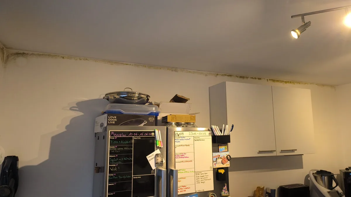 Schimmel an Küchendecke vor der Sanierung