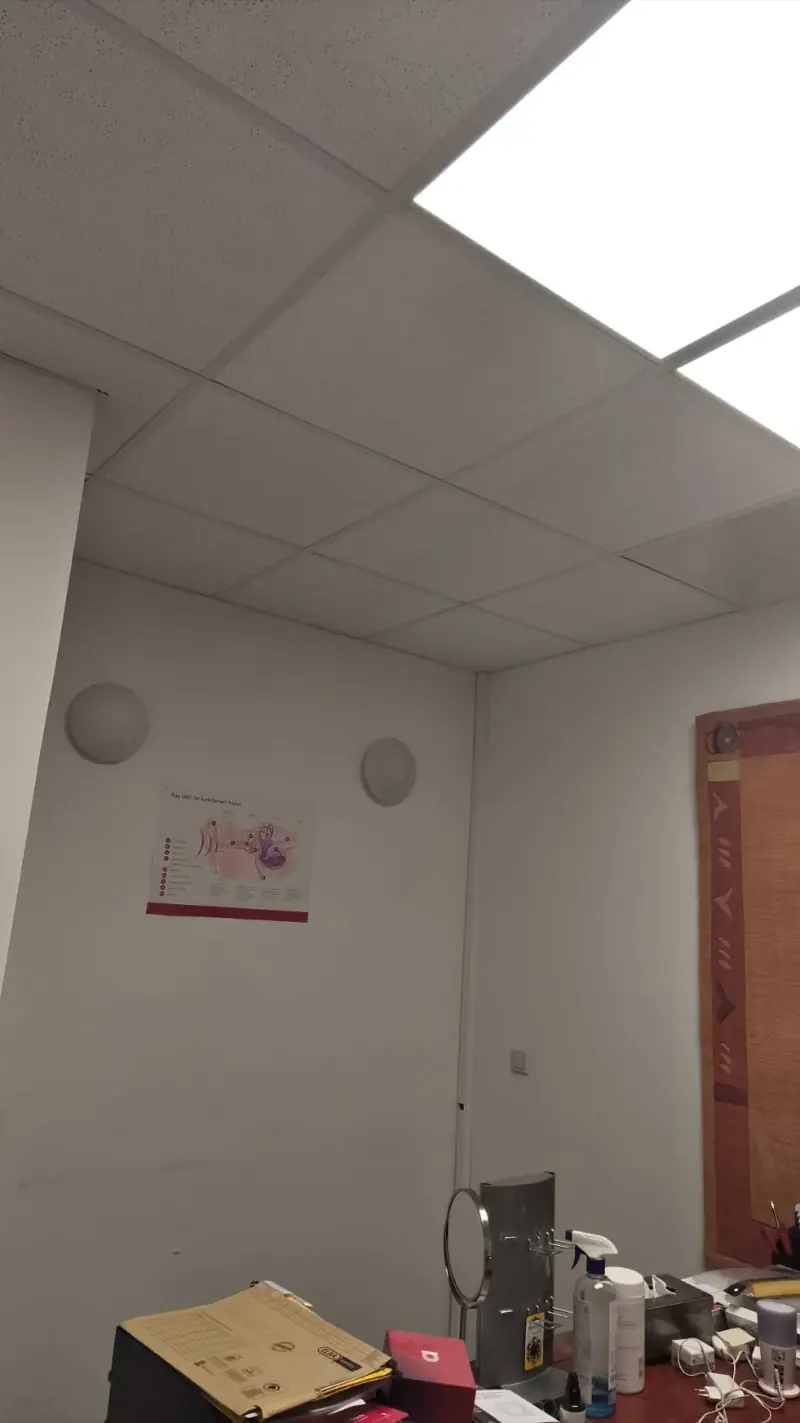 Decke vor der Renovierung — abgehängte Rasterdecke mit Verschmutzungen, Andymen Maler mit Stern