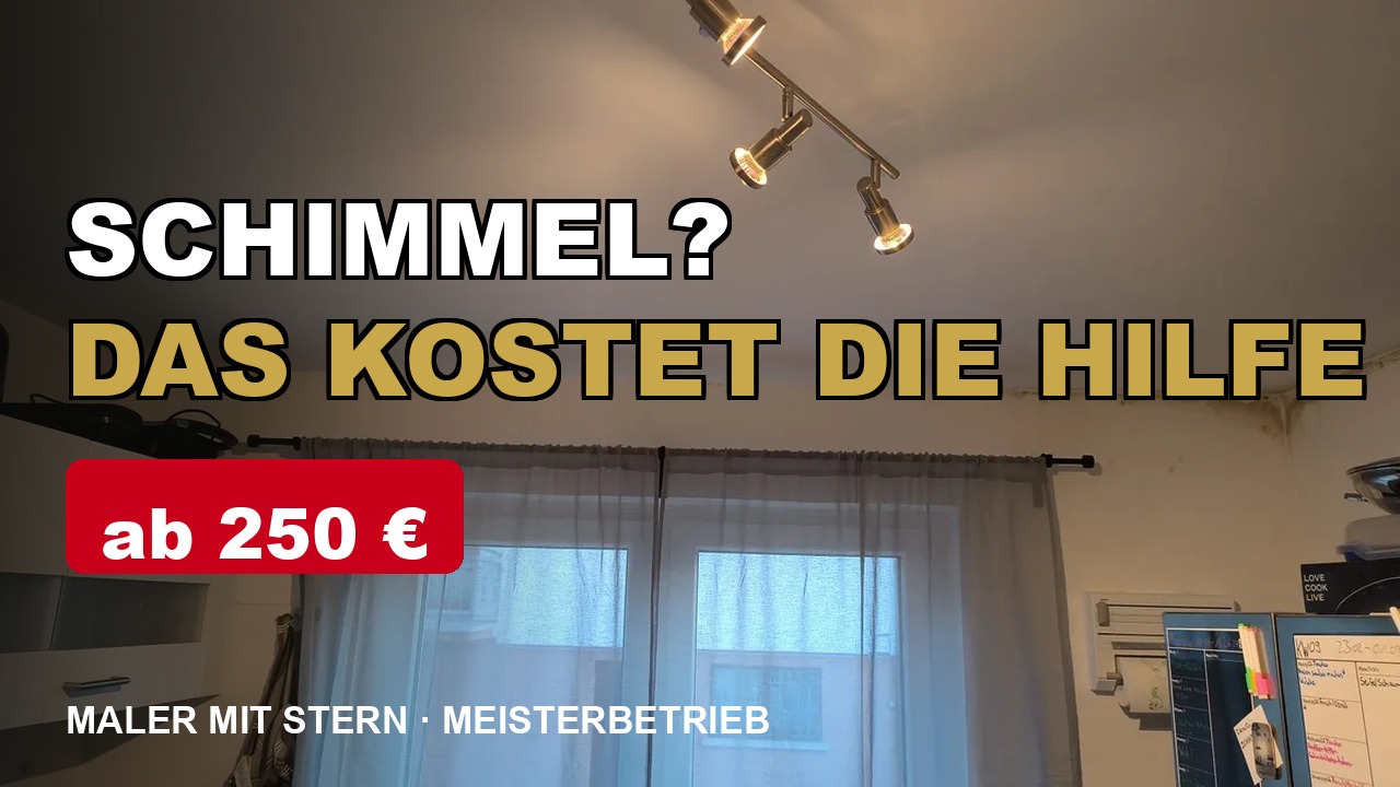 Video: Schimmel an der Wand: Kosten der Sanierung 2026